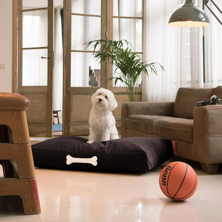 Fatboy - Hondenbenodigdheden Canvas