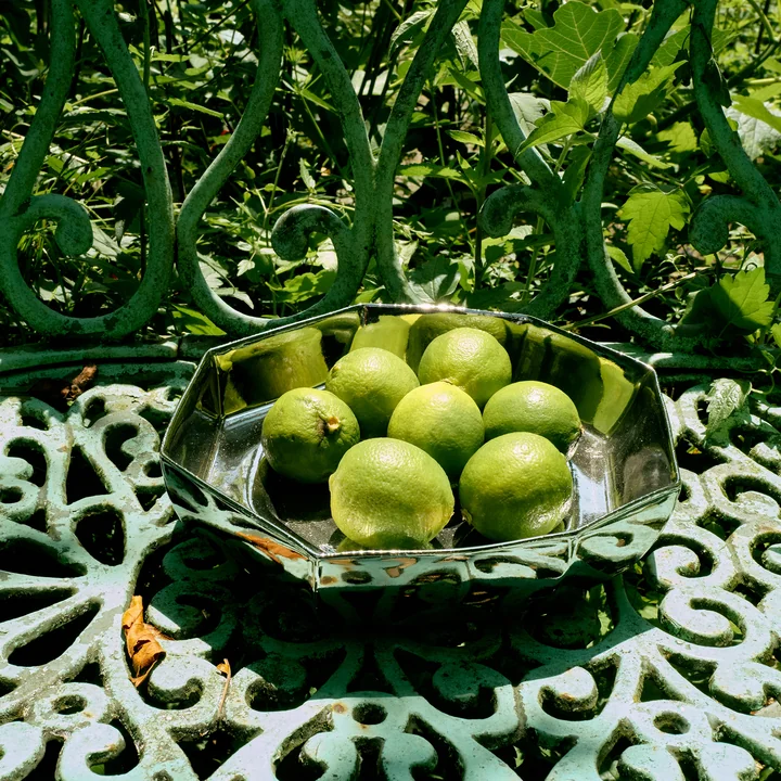 HKliving - Chromen decoratieve kom