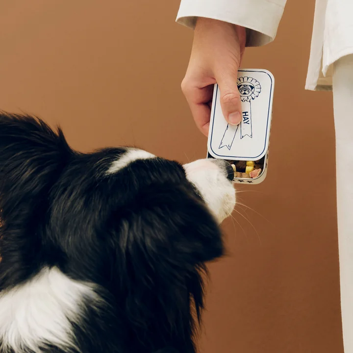 HAY - Honden traktatieblik S, blauw / wit