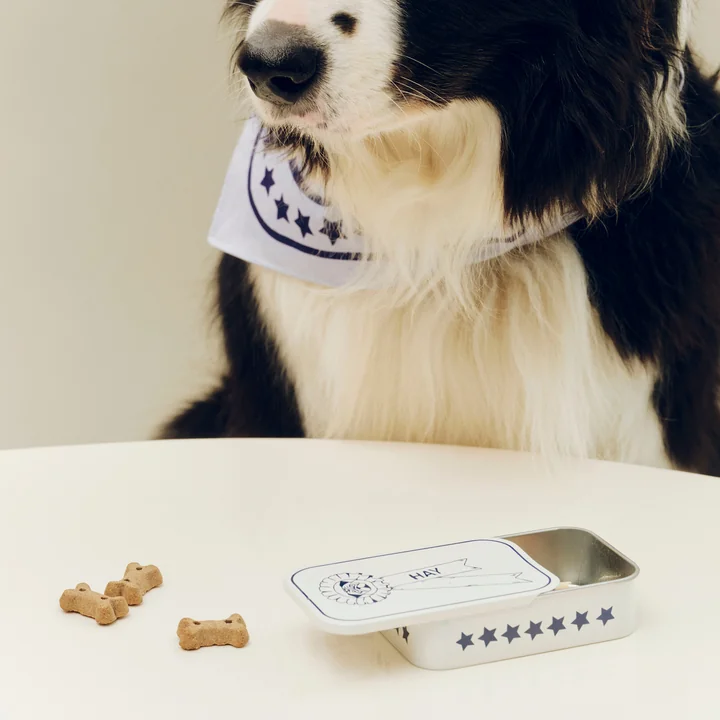 HAY - Honden traktatieblik S, blauw / wit