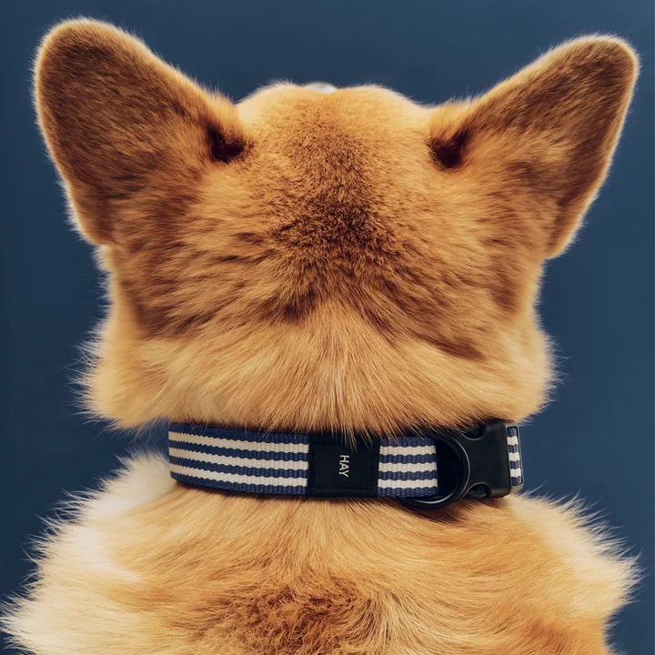 HAY - Dogs Halsband, M/L, blauw/wit gestreept