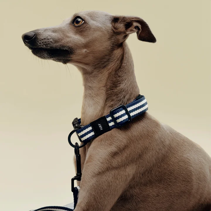 HAY - Dogs Halsband, S/M, blauw/wit gestreept