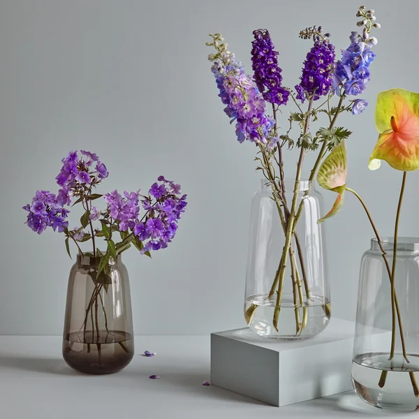 De Bou Vaas van Collection een andere Bou Vazen en bloemen