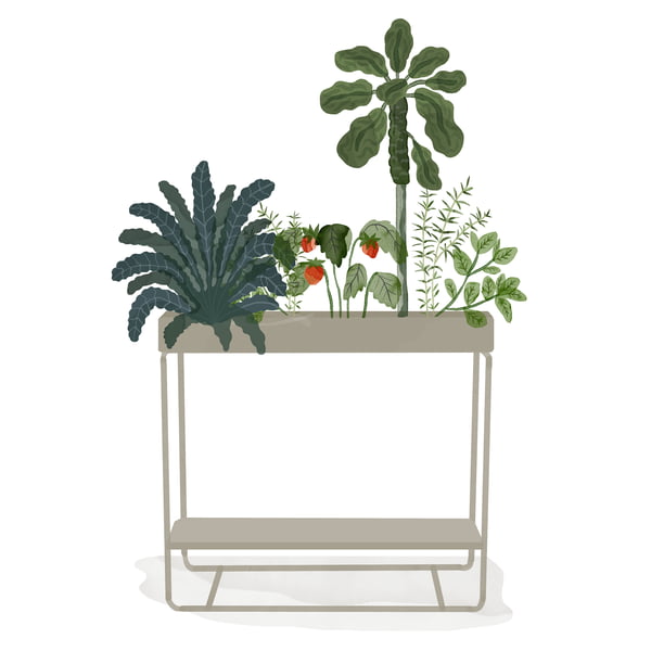 ferm Living _ Plant Box - twee niveaus - aquarel