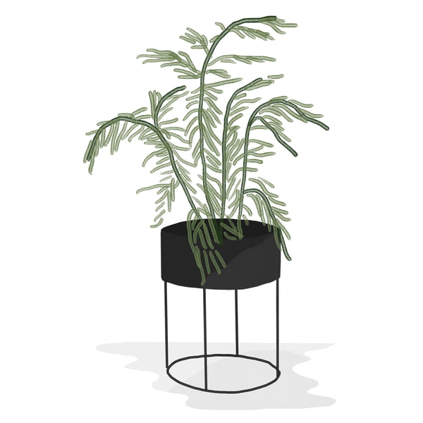 ferm Living _ Plant Box - rond - zwart - aquarel