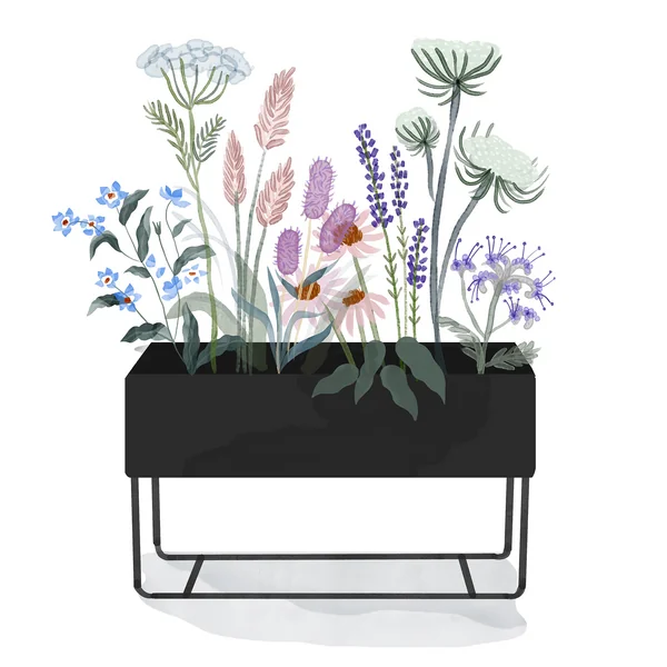 ferm Living _ Plant Box - groot - zwart - aquarel