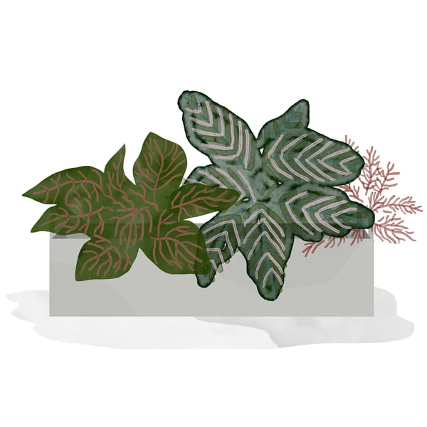 ferm Living - Plant Box klein - licht grijs - aquarel - mozaïek plant